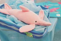 WhatsApp-Image-2025-02-14-at-17.36.30