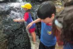 WhatsApp-Image-2025-12-16-at-13.36.11-1