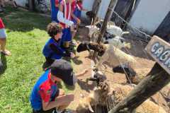 WhatsApp-Image-2025-12-16-at-13.36.16-4