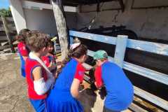 WhatsApp-Image-2025-12-16-at-13.36.17-1