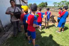 WhatsApp-Image-2025-12-16-at-13.36.17