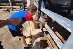 WhatsApp-Image-2025-12-16-at-13.38.51-1