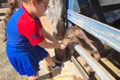 WhatsApp-Image-2025-12-16-at-13.38.51-2