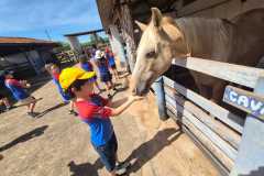 WhatsApp-Image-2025-12-16-at-13.38.51