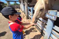 WhatsApp-Image-2025-12-16-at-13.38.52-1