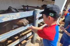 WhatsApp-Image-2025-12-16-at-13.38.52