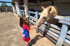 WhatsApp-Image-2025-12-16-at-13.39.09