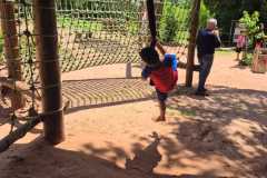 WhatsApp-Image-2025-12-16-at-13.39.11