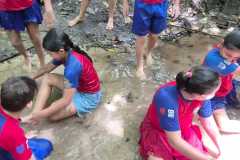 WhatsApp-Image-2025-12-16-at-13.39.20-1