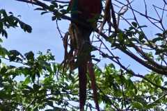 WhatsApp-Image-2025-12-16-at-13.39.27