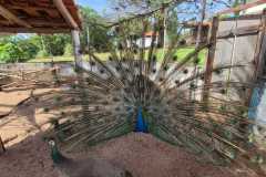 WhatsApp-Image-2025-12-16-at-13.40.50-1