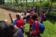 WhatsApp-Image-2025-12-16-at-13.40.50-2