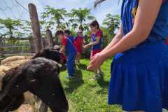 WhatsApp-Image-2025-12-16-at-13.40.50-3