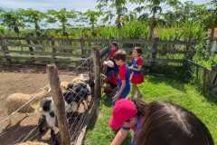 WhatsApp-Image-2025-12-16-at-13.40.50-4