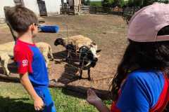 WhatsApp-Image-2025-12-16-at-13.40.50