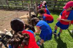 WhatsApp-Image-2025-12-16-at-13.40.51-2