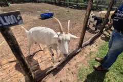 WhatsApp-Image-2025-12-16-at-13.40.51-3