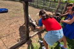 WhatsApp-Image-2025-12-16-at-13.40.51-4