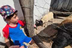 WhatsApp-Image-2025-12-16-at-13.40.51-5