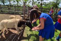 WhatsApp-Image-2025-12-16-at-13.40.51