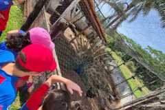 WhatsApp-Image-2025-12-16-at-13.40.52-2