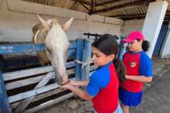 WhatsApp-Image-2025-12-16-at-13.40.52-3