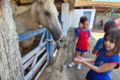 WhatsApp-Image-2025-12-16-at-13.40.52-4