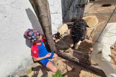 WhatsApp-Image-2025-12-16-at-13.40.52