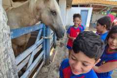 WhatsApp-Image-2025-12-16-at-13.40.53-1