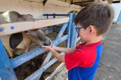 WhatsApp-Image-2025-12-16-at-13.40.53-3