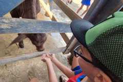 WhatsApp-Image-2025-12-16-at-13.40.53-4