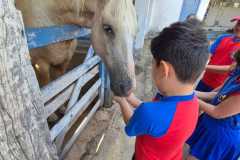 WhatsApp-Image-2025-12-16-at-13.40.53