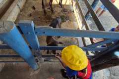 WhatsApp-Image-2025-12-16-at-13.40.54