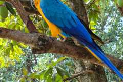 WhatsApp-Image-2025-12-16-at-13.40.55