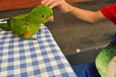 WhatsApp-Image-2025-12-16-at-13.40.57