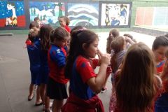 WhatsApp-Image-2025-02-13-at-14.33.27