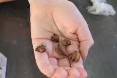 WhatsApp-Image-2025-05-14-at-14.45.27