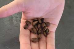 WhatsApp-Image-2025-05-14-at-14.45.28-1