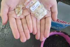 WhatsApp-Image-2025-05-14-at-14.45.31-1