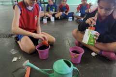 WhatsApp-Image-2025-05-14-at-14.45.31-2