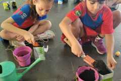 WhatsApp-Image-2025-05-14-at-14.45.33-1