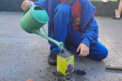 WhatsApp-Image-2025-05-14-at-14.45.35-1