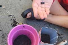 WhatsApp-Image-2025-05-14-at-14.45.37-1