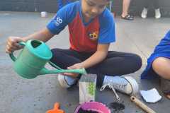 WhatsApp-Image-2025-05-14-at-14.45.38-1