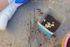 WhatsApp-Image-2025-05-14-at-14.45.54-2