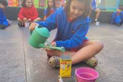 WhatsApp-Image-2025-05-14-at-14.45.58