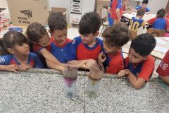 WhatsApp-Image-2025-03-24-at-13.28.47