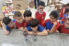 WhatsApp-Image-2025-03-24-at-13.28.48-1