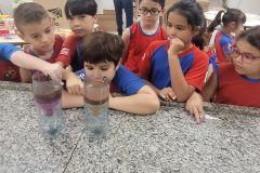 WhatsApp-Image-2025-03-24-at-13.28.49