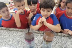 WhatsApp-Image-2025-03-24-at-13.28.50-1